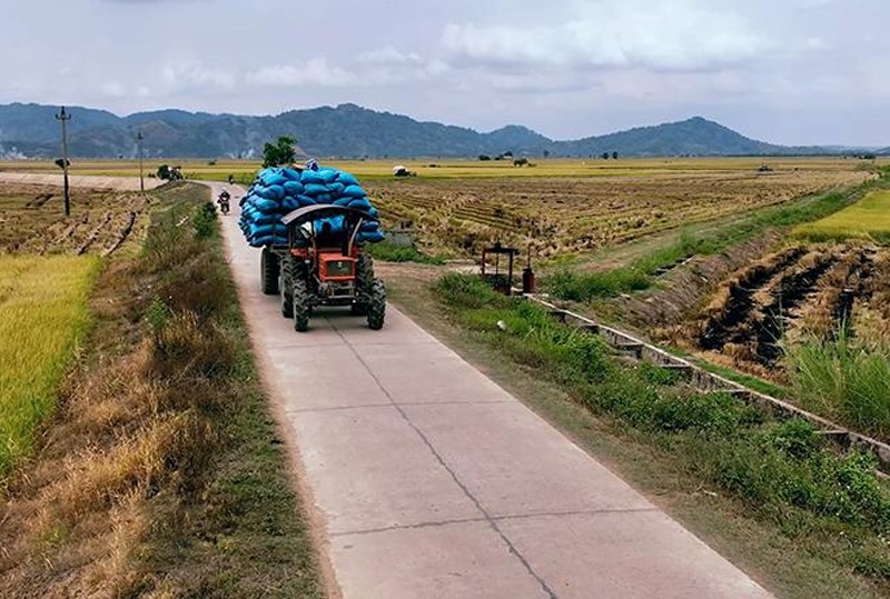 Giá trị chuỗi lúa gạo Đắk Lắk chưa phát huy hết tiềm năng